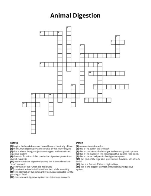 Animal Digestion Crossword Puzzle