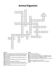 Animal Digestion crossword puzzle