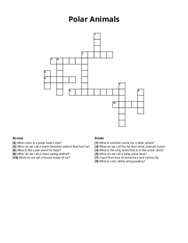 Polar Animals Crossword Puzzle