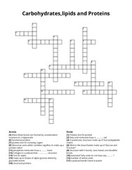 Carbohydrates,lipids and Proteins Crossword Puzzle