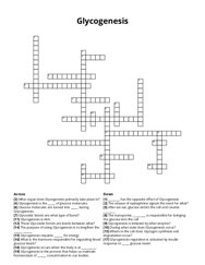 Glycogenesis Crossword Puzzle