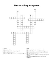 Western Grey Kangaroo Crossword Puzzle