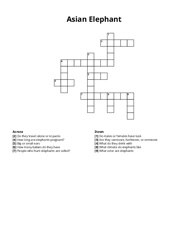 Asian Elephant Crossword Puzzle