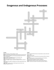 Exogenous and Endogenous Processes crossword puzzle