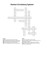 Human Circulatory System Crossword Puzzle