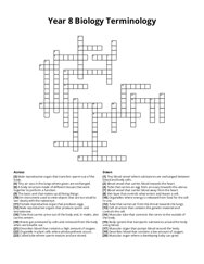 Year 8 Biology Terminology Crossword Puzzle