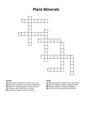 Plant Minerals Crossword Puzzle