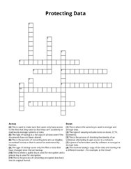 Protecting Data Crossword Puzzle